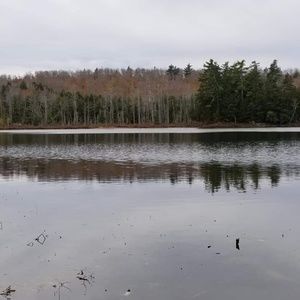 Meet your Posher, Rocky